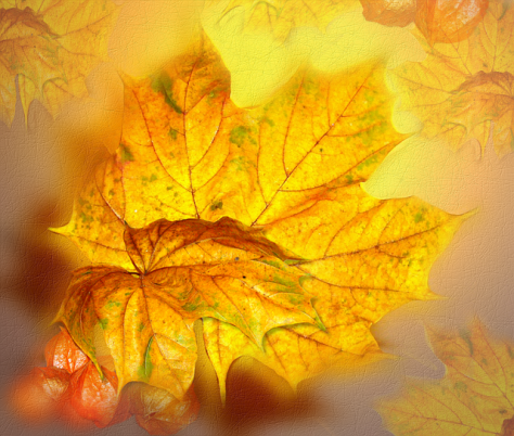 autumn-shirley-in-pixabay